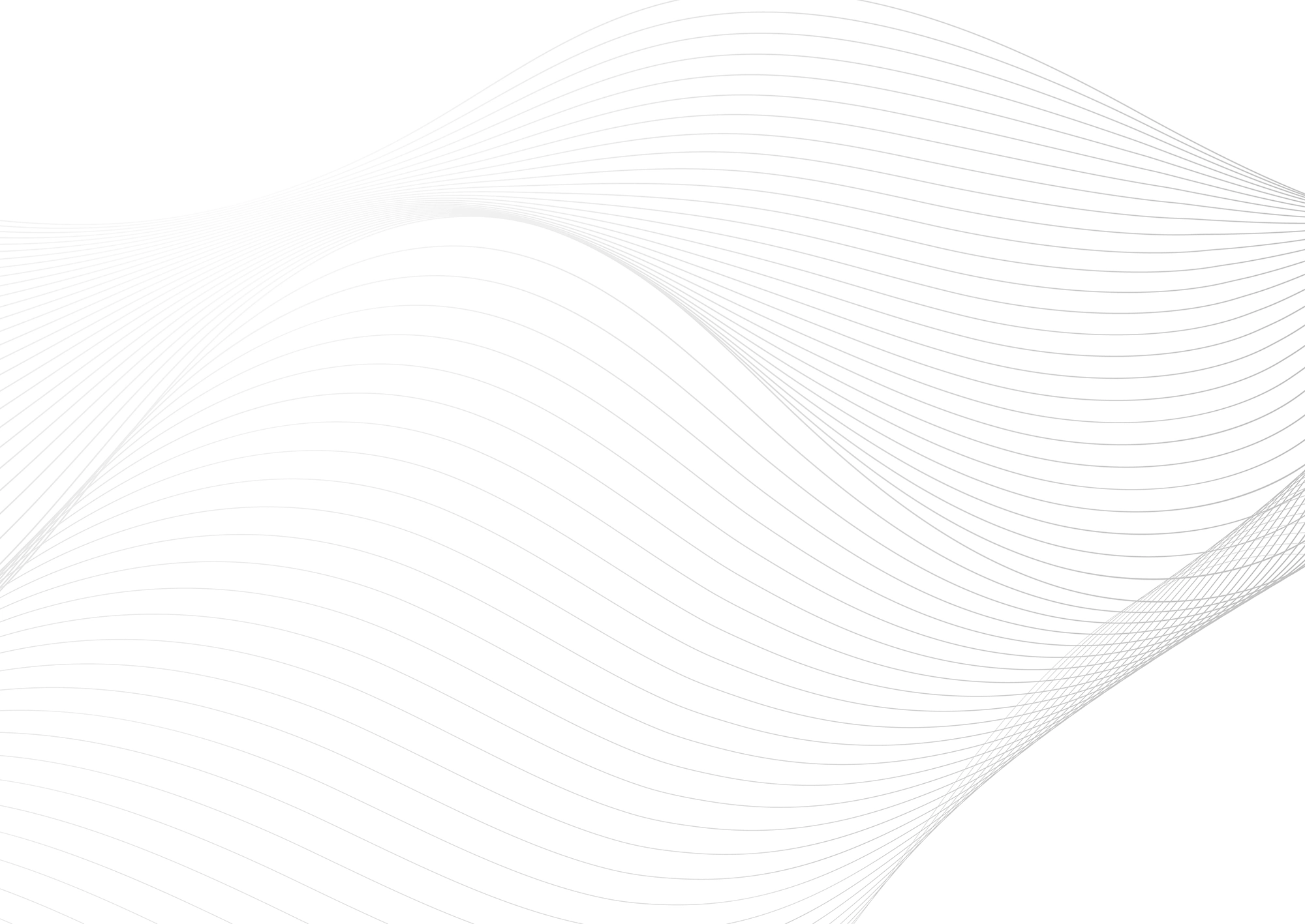 Web Site Tasarımcısı, Taşkent